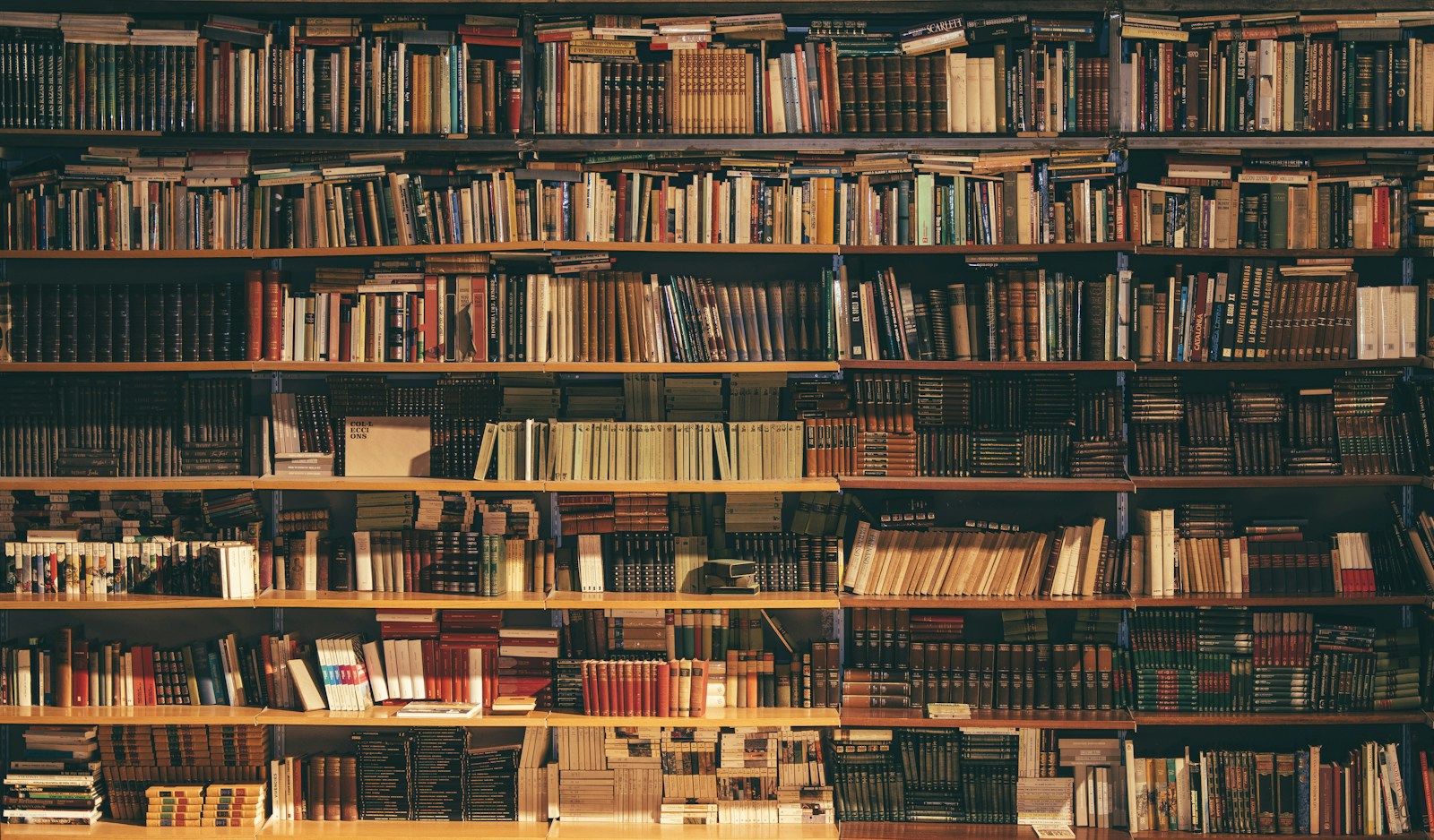 Shelves filled with books in a library